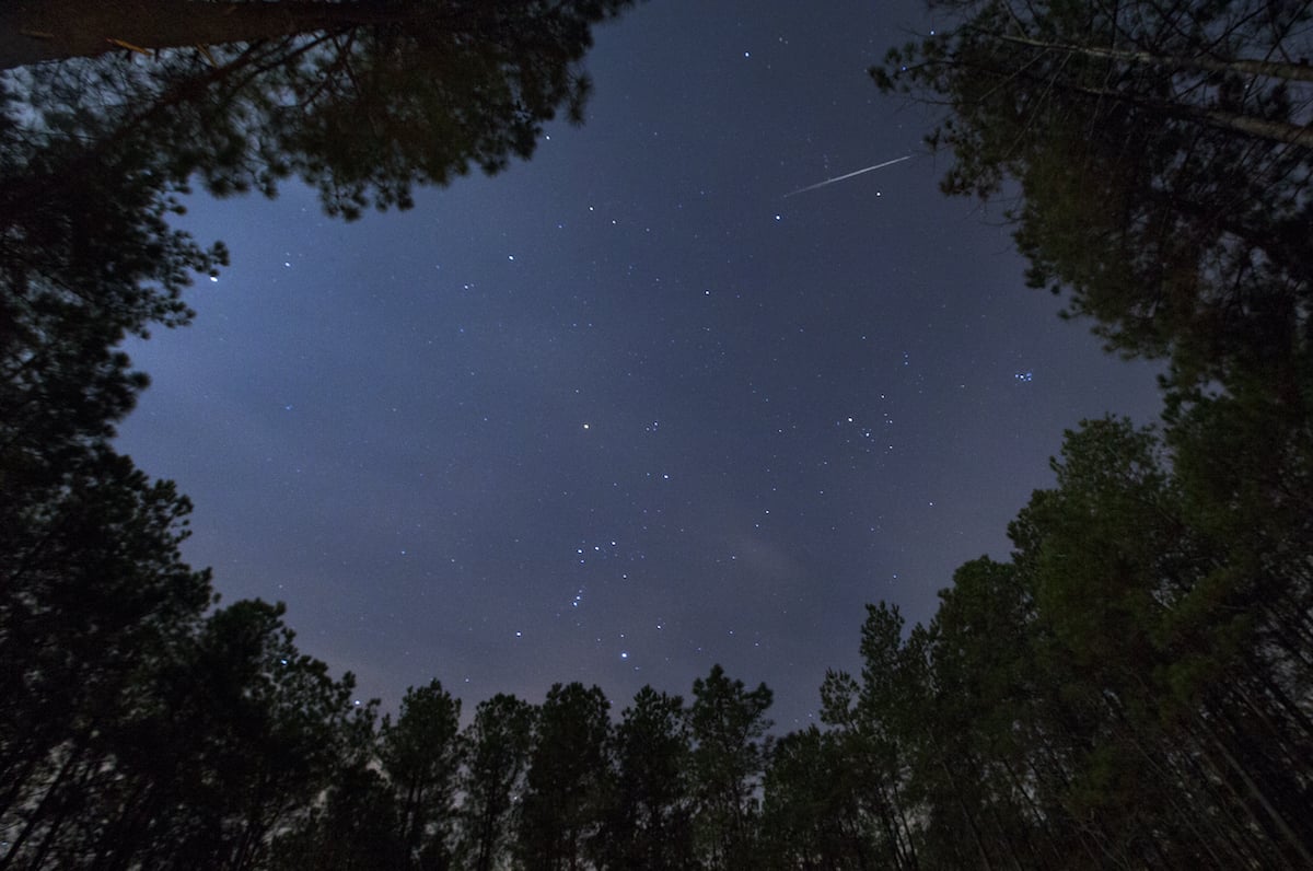 How to see the Orionids Meteor Shower