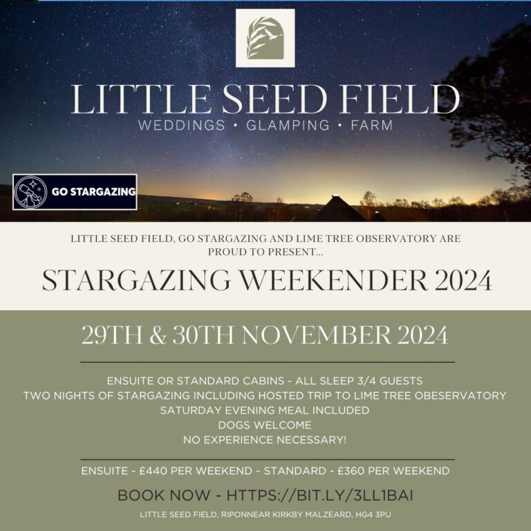 Stargazing weekend flyer image