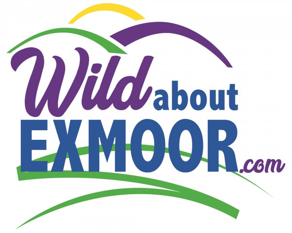Wild About Exmoor