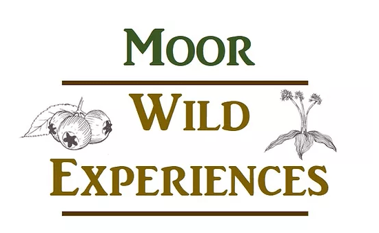 Moor Wild Experiences